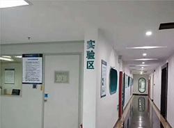 徐州医院办理亲子鉴定需要样本有哪些，徐州医院办理血缘检测结果需要多久