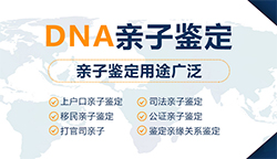 徐州亲子鉴定要如何办理