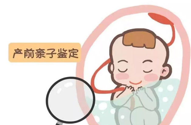 刚怀孕徐州要如何办理孕期亲子鉴定,徐州办理怀孕亲子鉴定结果会不会有问题