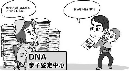 徐州哪里有亲子鉴定服务机构,徐州亲子鉴定价格收费